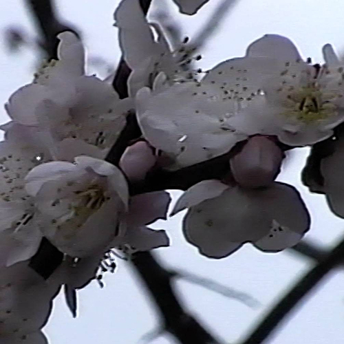 Post ~ May 7, 2026